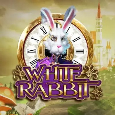 High Roller App White Rabbit